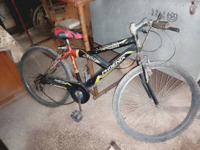 Bicycle under best price