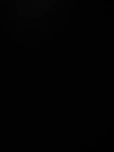 s21 panel,back,frame and speaker battery strips