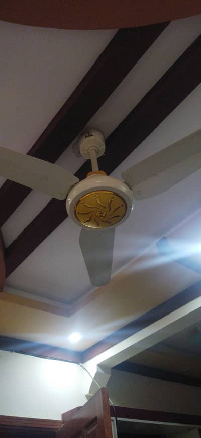 AC/DC ceiling fans
