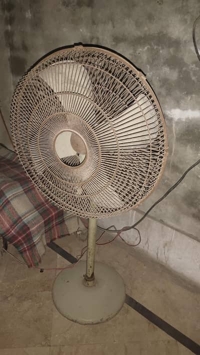 Royal fan for sale