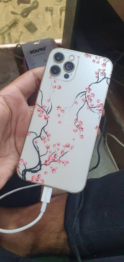 i phone 12 pro panel line