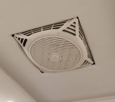 Royal Celling fan