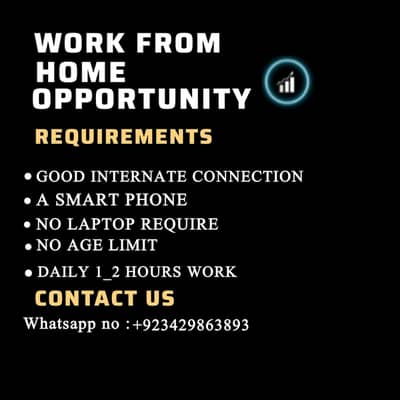 Online business opportunity