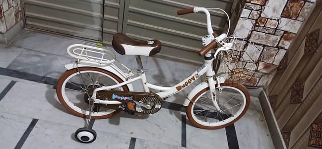 ALTON PUPPY 18 CYCLE