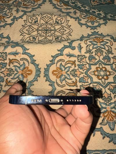 12 pro max pta approved