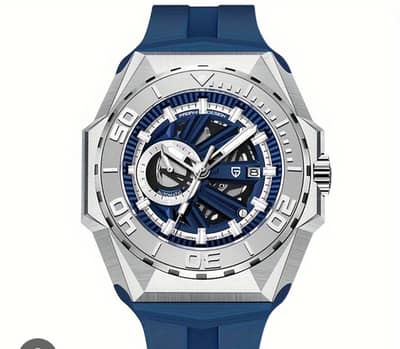 pagani desigh original