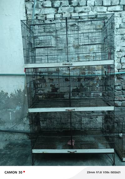 Beautiful Budgies Cage for Sale (Only Cage)