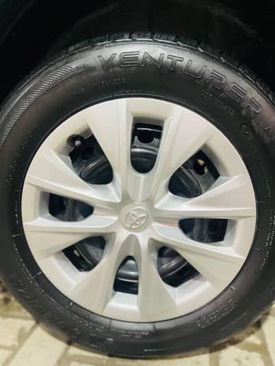 only cash party contact thanks