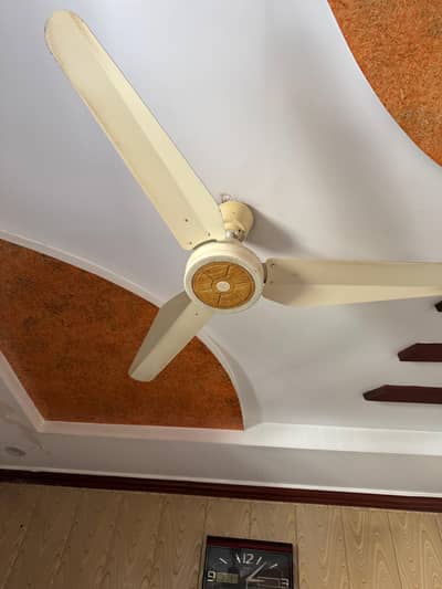 Royal fan 10/10 ac fan