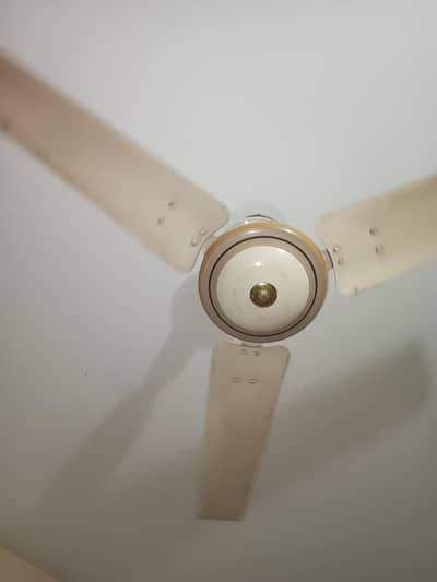 Ceiling fan urgent sale