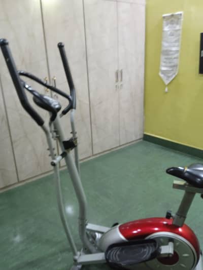 exercise cycle