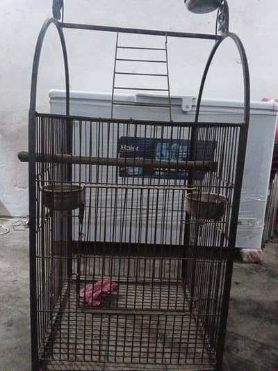 cage for parrots and pigions