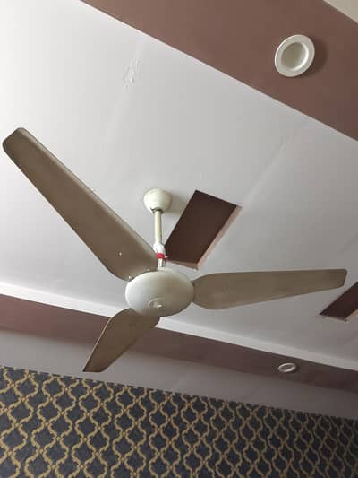1 Ceiling Fan 56 -Good Working Condition