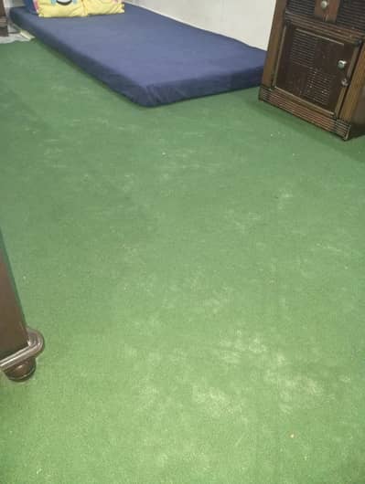 room carpet green colour 4 sale