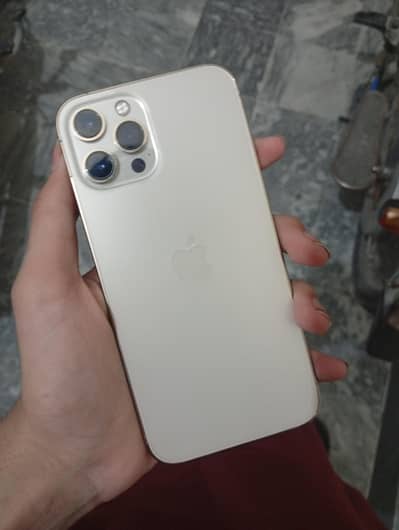 iphone 12 pro max 128gb dual physical pta approved 10/10 with box