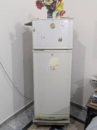 Pel Refrigerator (Fridge) in white color
