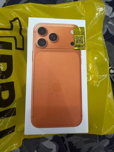 17 PM 256 phy plus E