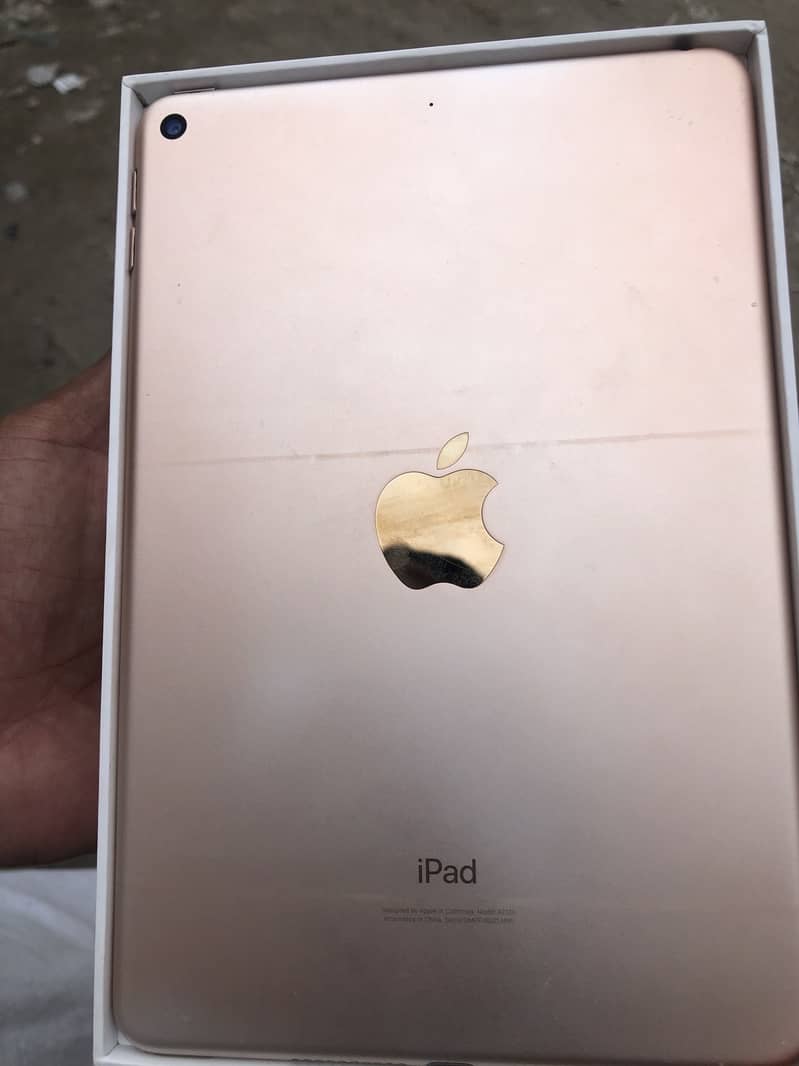 iPad mini5 3