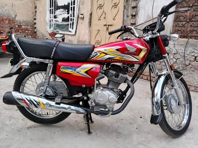 lush condition 10/10