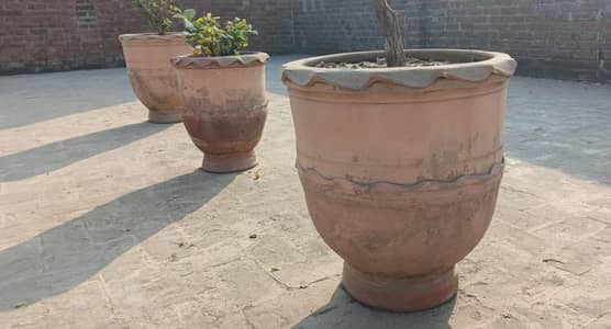 flower pots