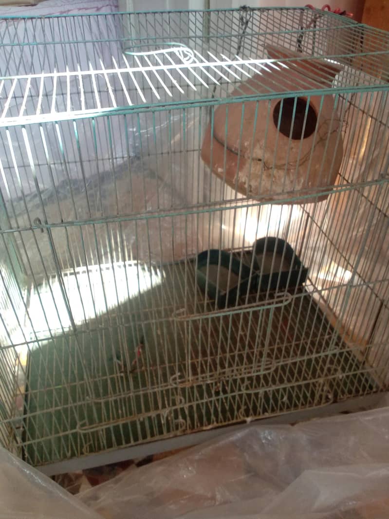 1 portion cage 0