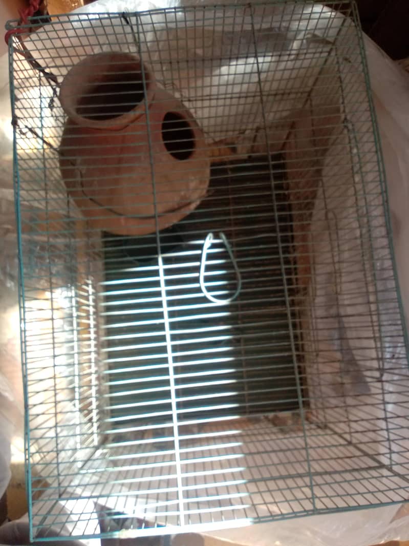 1 portion cage 1