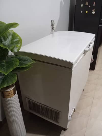 Waves Deep Freezer 12 Cubic Feet Excellent Condition