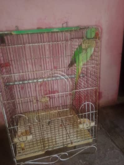 with catge 03296338525