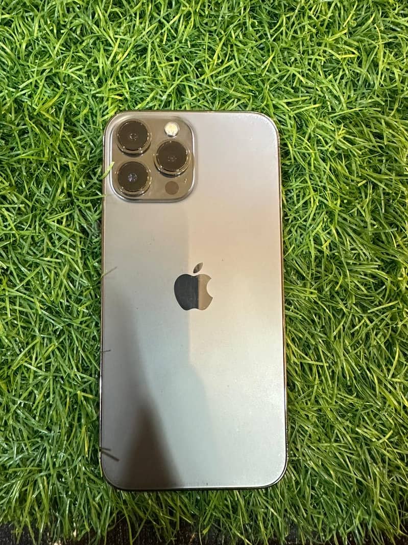 iPhone 13 Pro Max 0