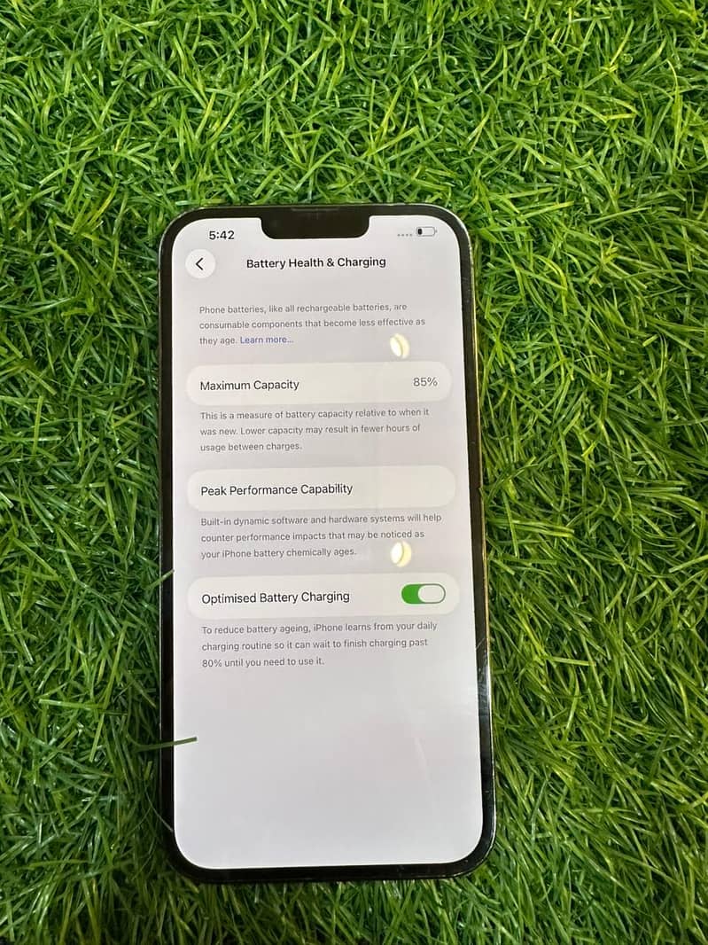 iPhone 13 Pro Max 1