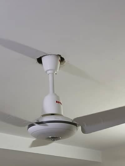 Royal Fan pure cooper