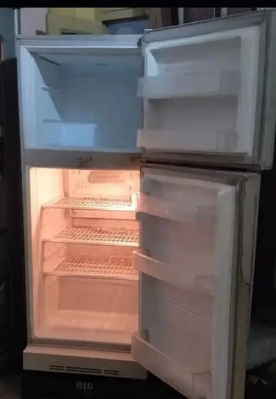 PEL freezer for sale. . . . .
