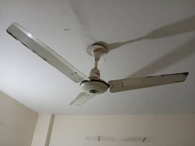 Royal Ceiling Fan