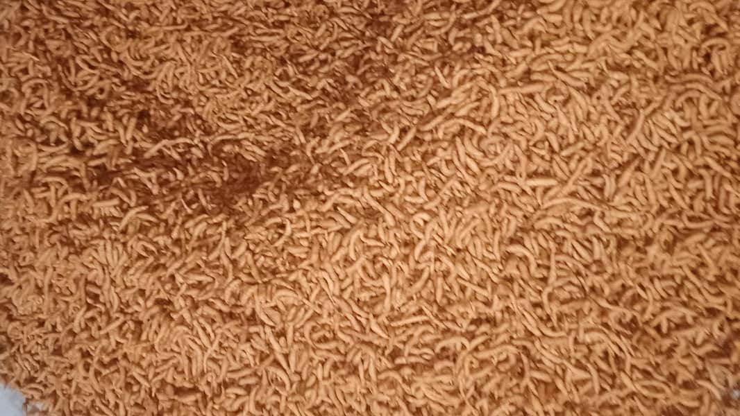 بھلی پاپڑی چاٹ مصالحہ  ڈیلیوری آل پنجاب 0