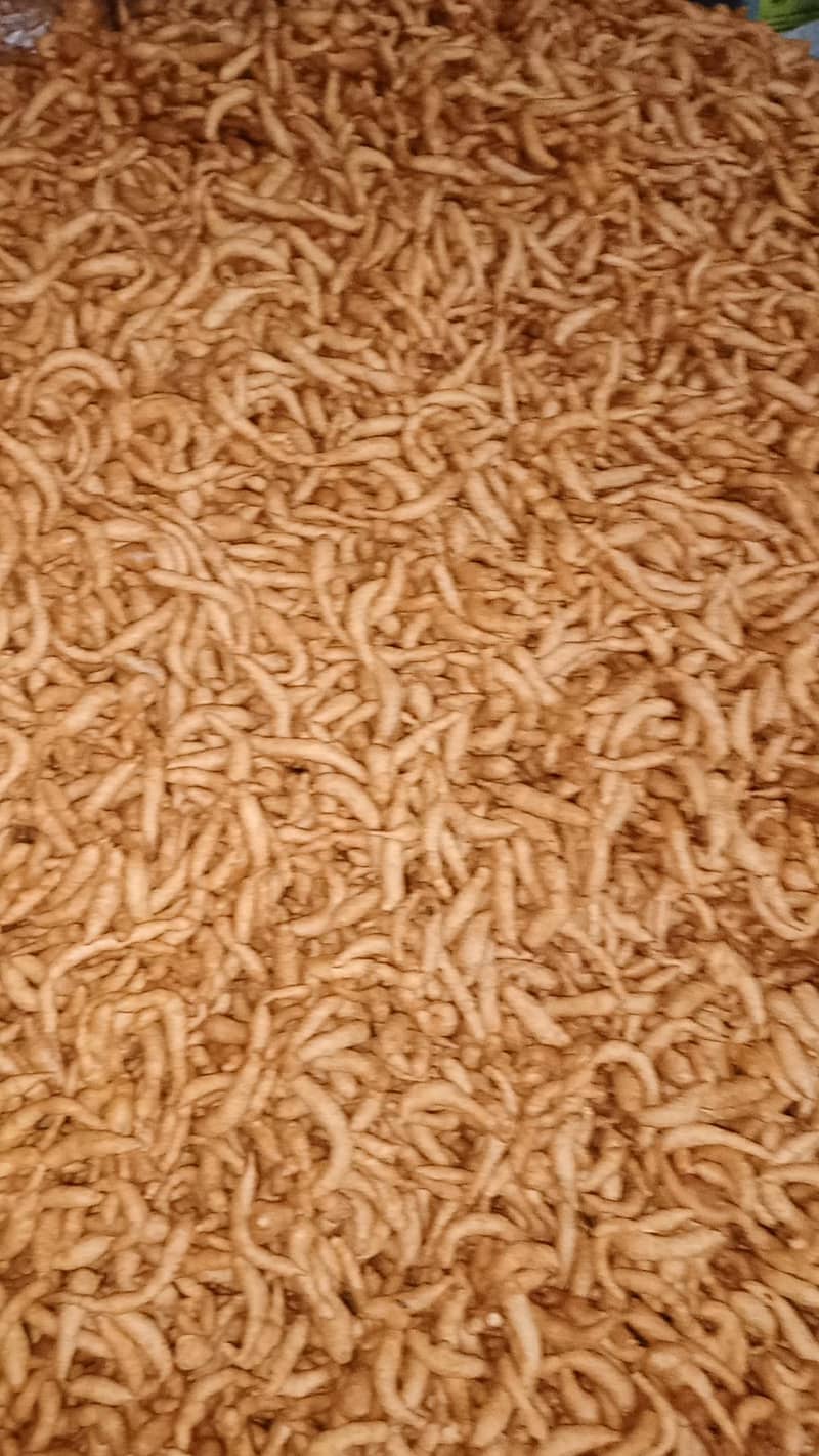 بھلی پاپڑی چاٹ مصالحہ  ڈیلیوری آل پنجاب 4