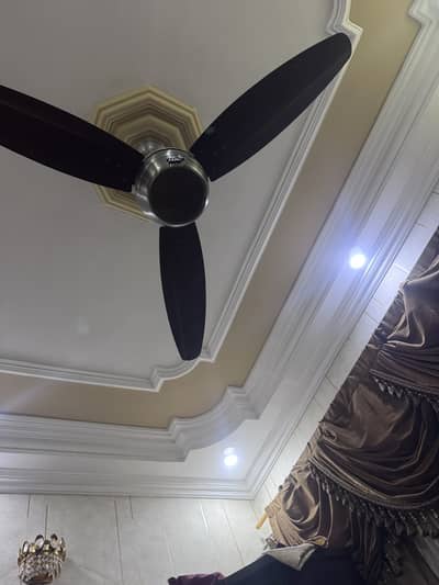 Ceiling Fan 56''