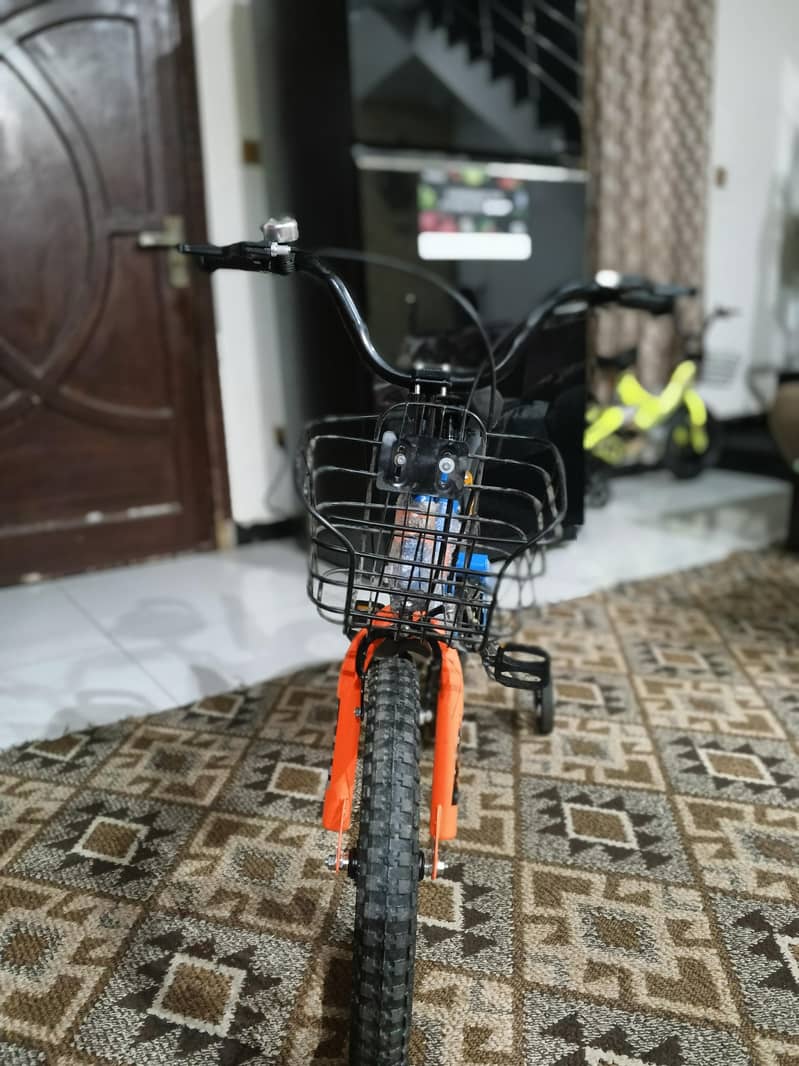 bicycle 2