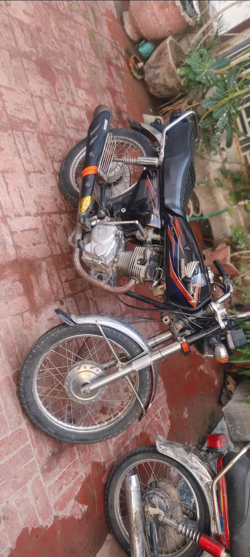 2018 model 125 - Standard Bikes - 1113377158