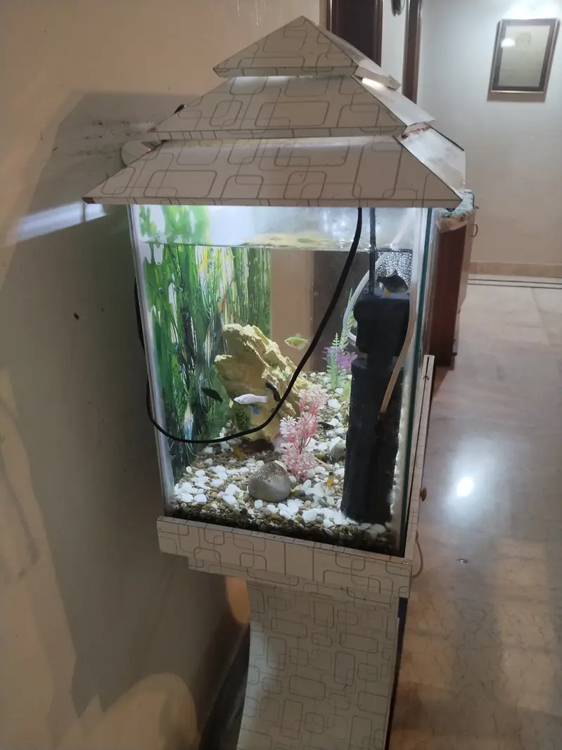 Beautiful 2 feet aquarium with fish — photo 3