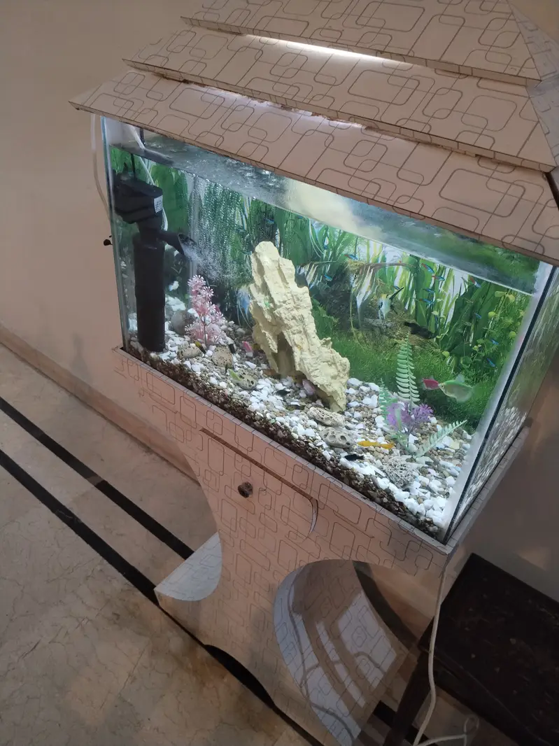 Beautiful 2 feet aquarium with fish — photo 5