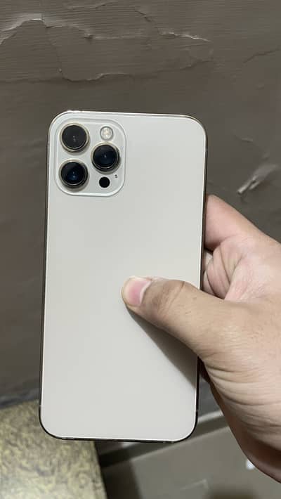 12promax 256 hk dual pta display battery msg