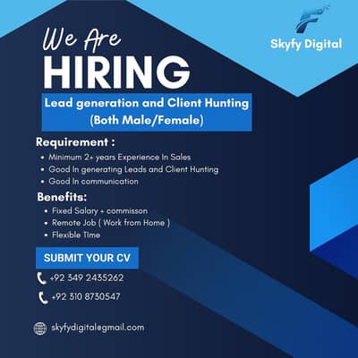 Online Remote Sales executive Job