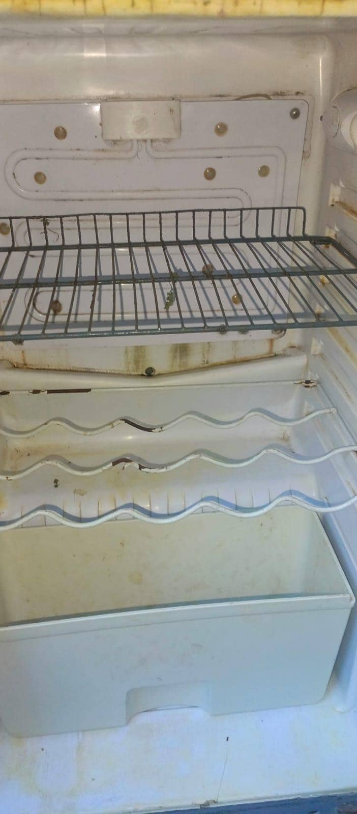 Fridge 2