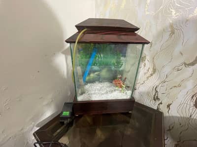 fish aquarium used condition 10/8 with air pump