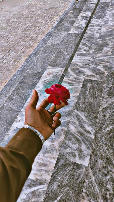 one plus 8 dule sim approve official