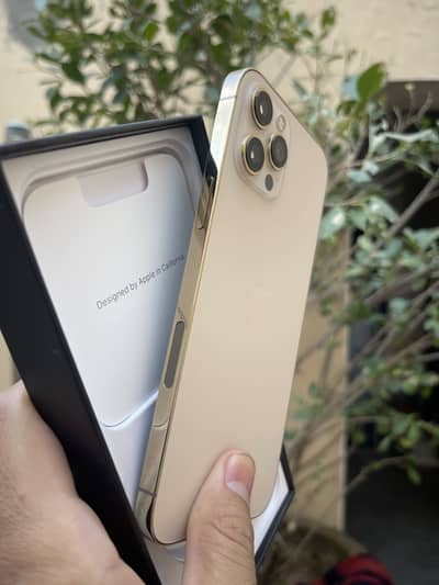 iPhone 12 Pro Max  PTA 10/10