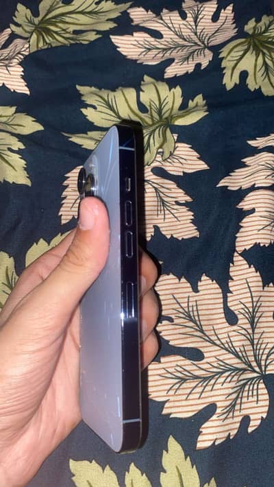 Iphone 13 pro factory unlock