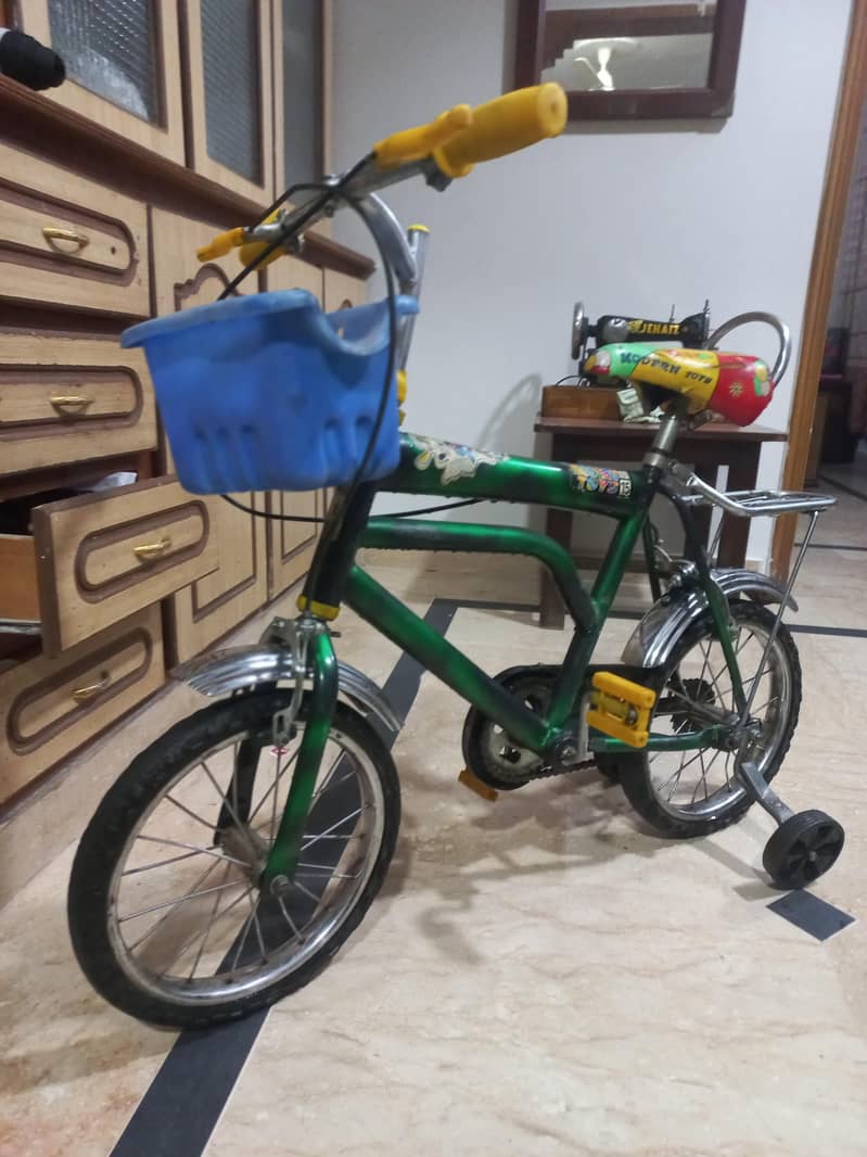 Bicycle Cycle 5