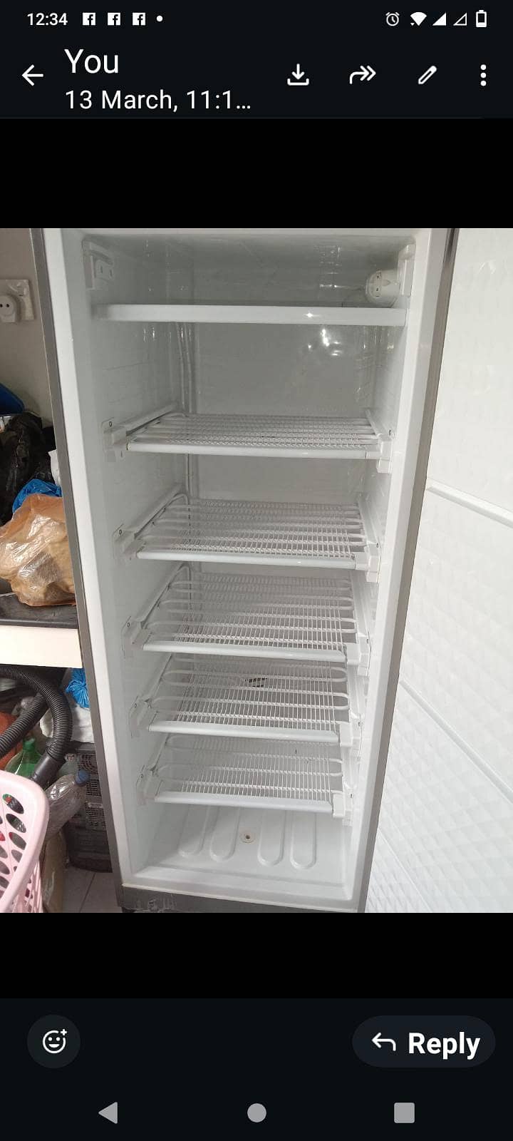standing freezer 1