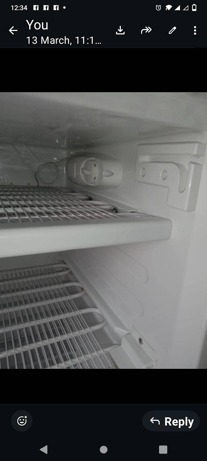 standing freezer 2